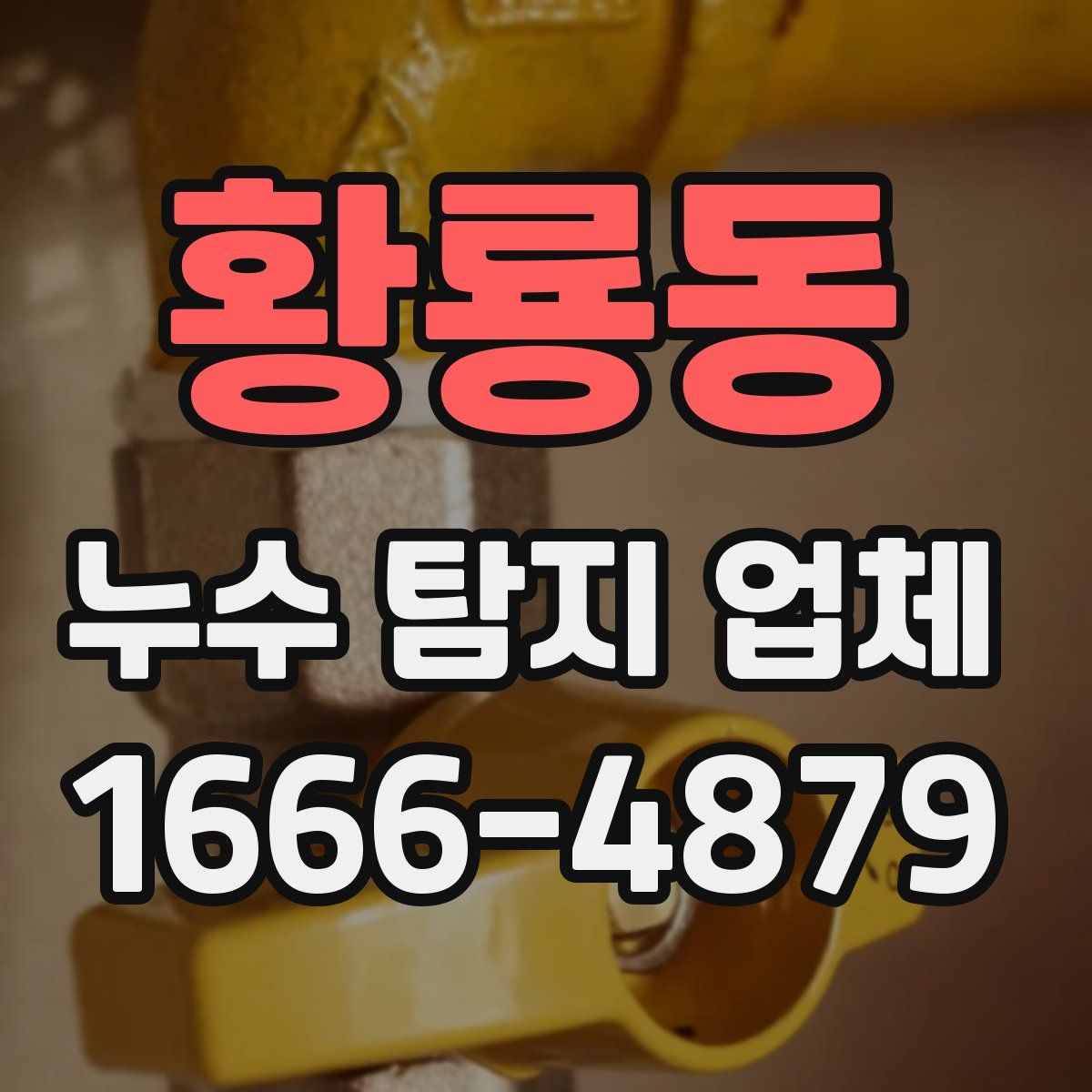 황룡동 누수 탐지 업체
