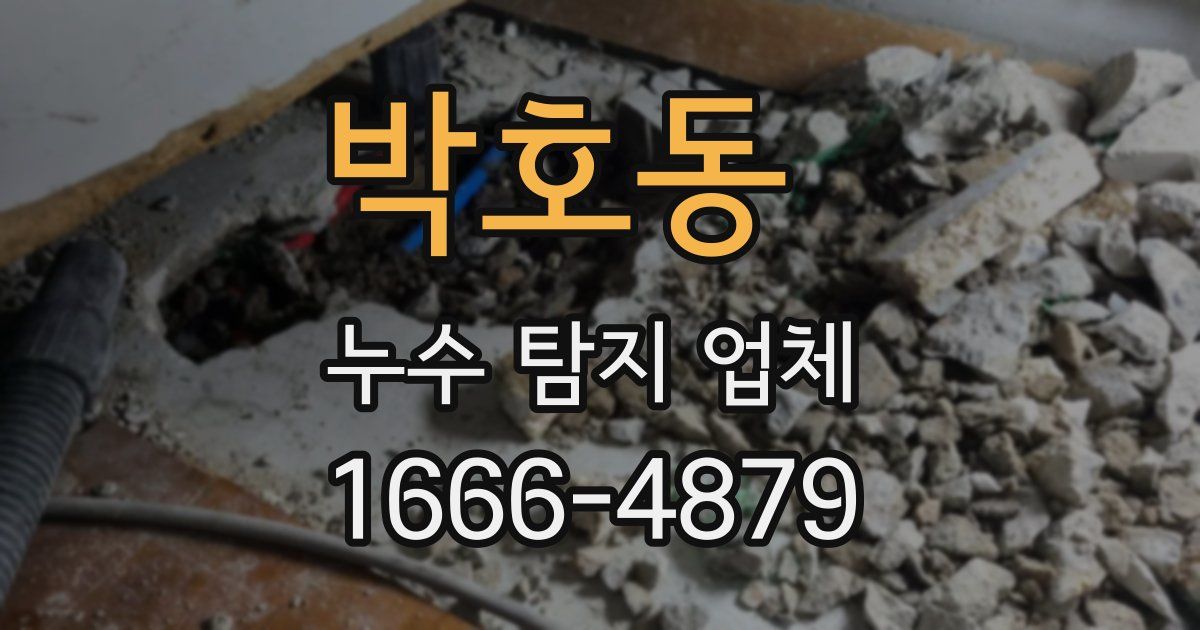 박호동 누수 탐지 업체