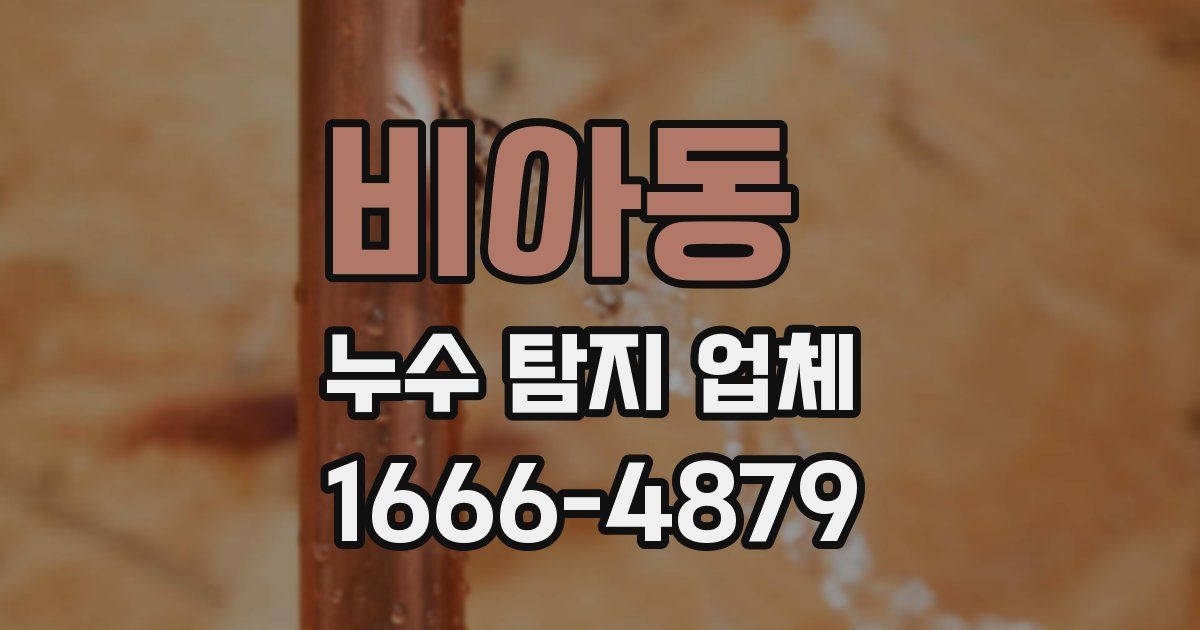 비아동 누수 탐지 업체