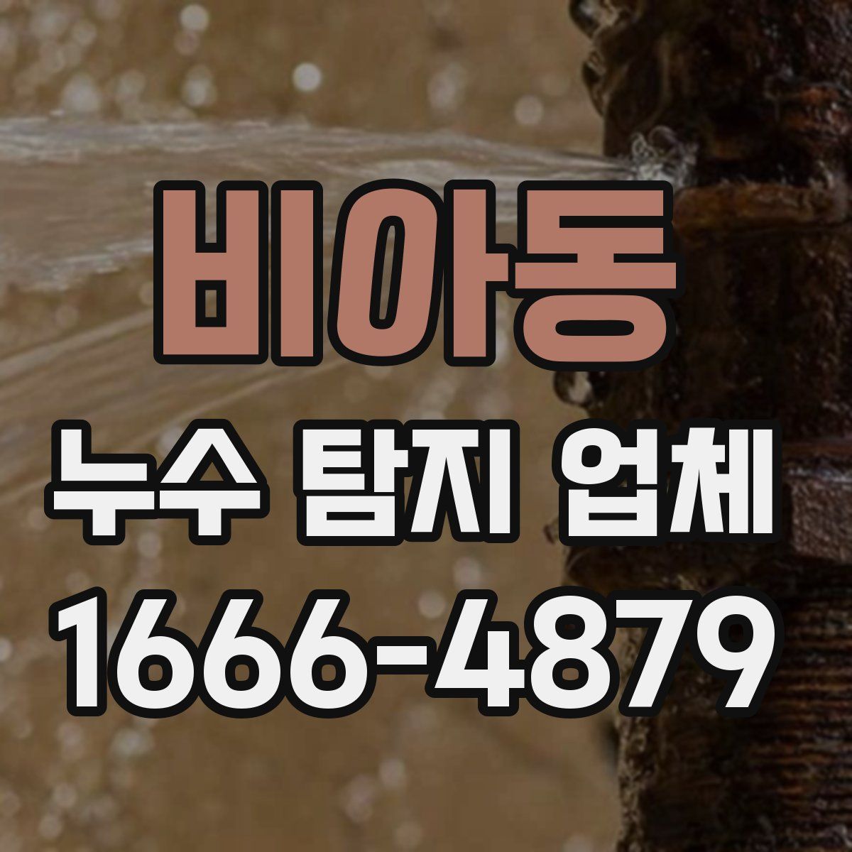 비아동 누수 탐지 업체