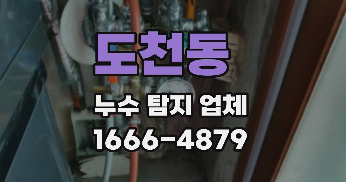 도천동 누수 탐지 업체