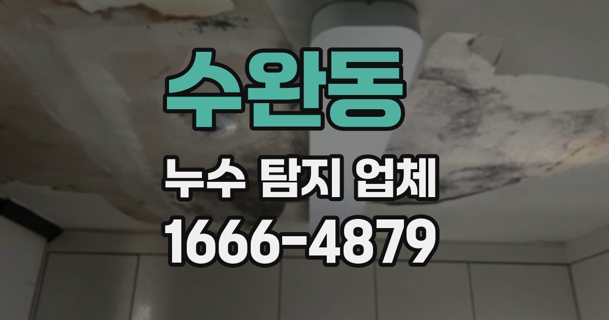 수완동 누수 탐지 업체