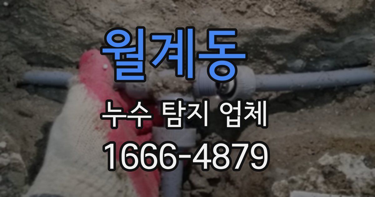 월계동 누수 탐지 업체