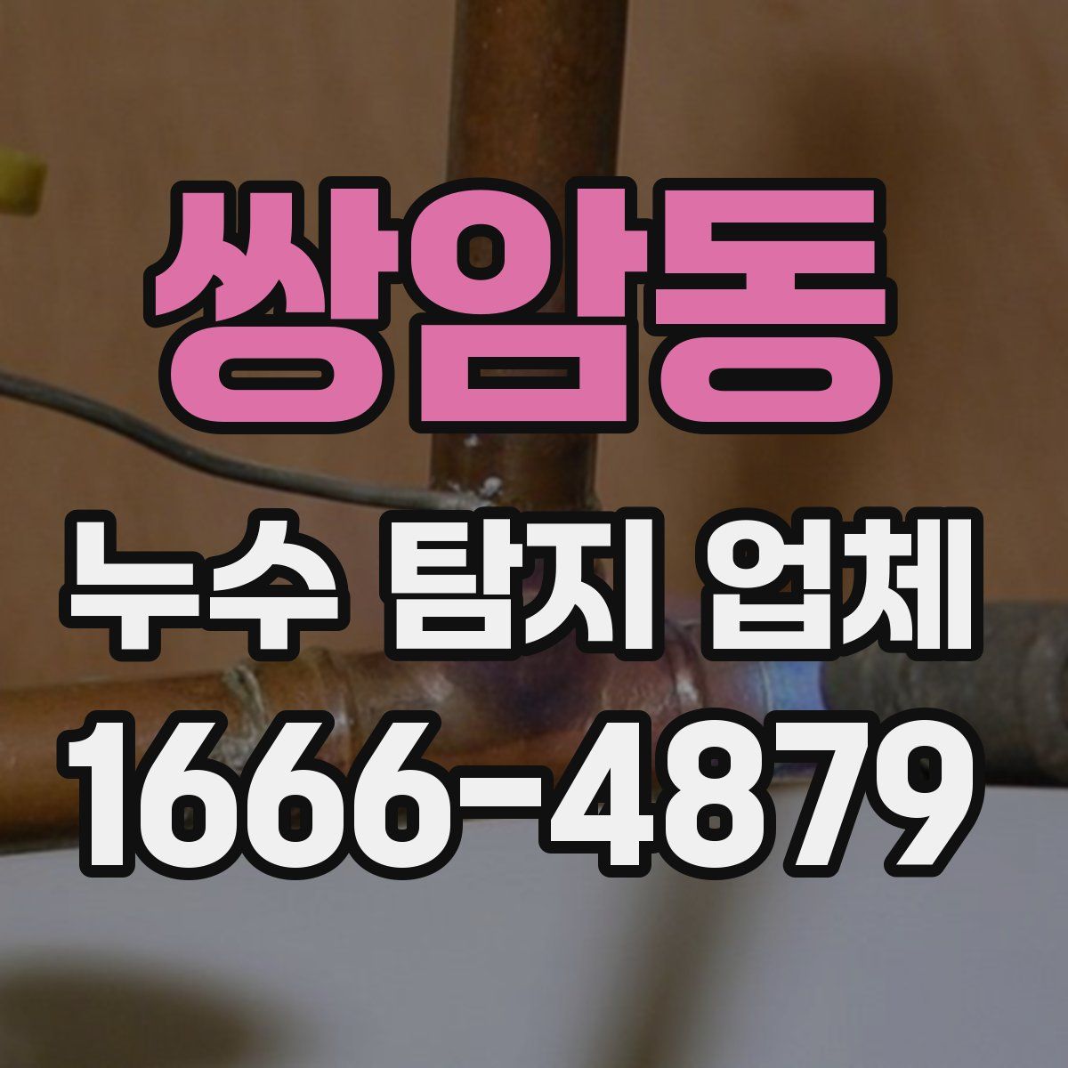 쌍암동 누수 탐지 업체