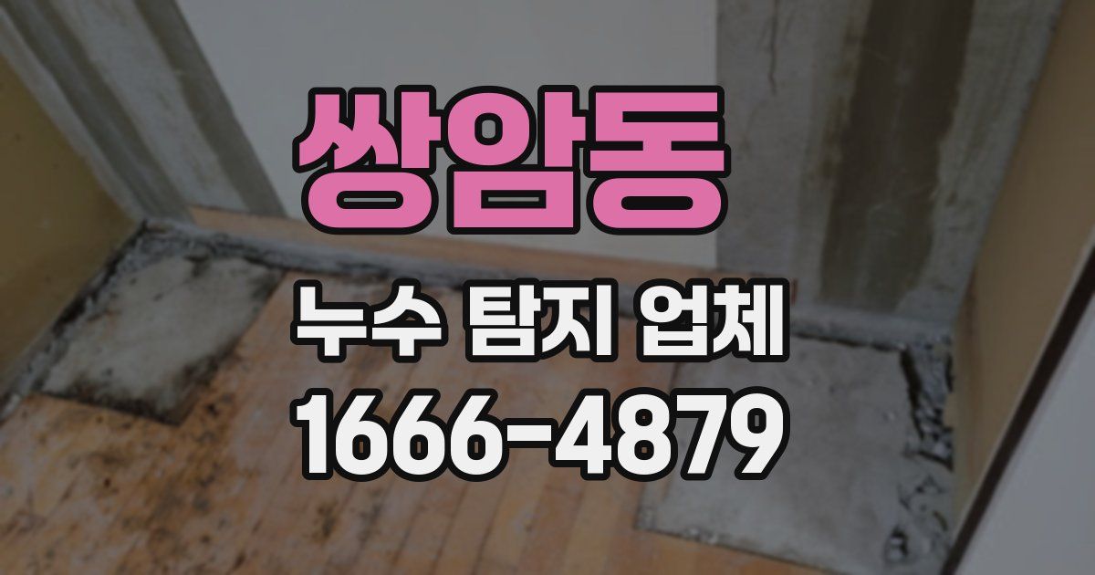 쌍암동 누수 탐지 업체