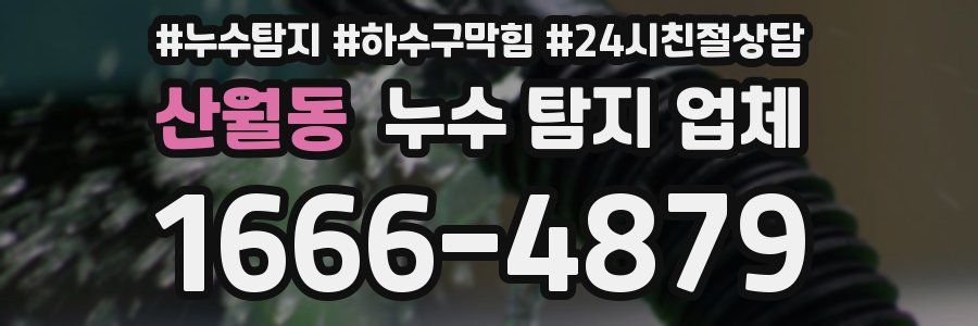 산월동 누수 탐지 업체