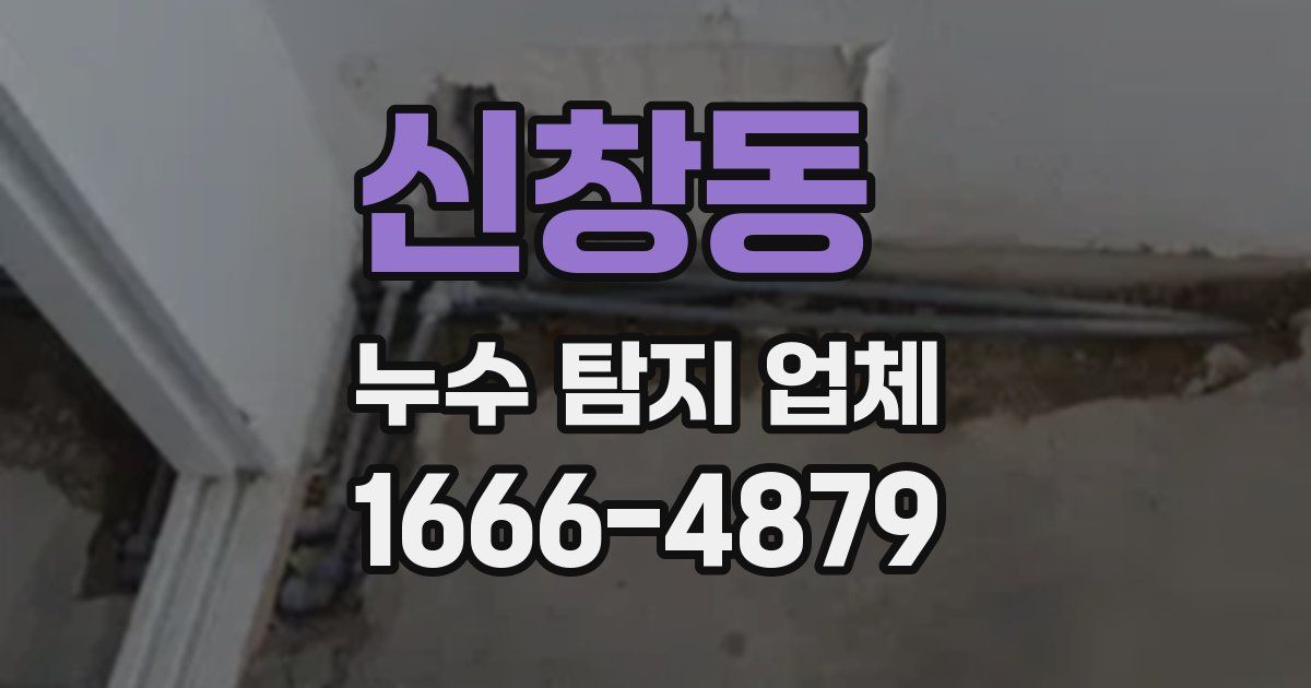 신창동 누수 탐지 업체