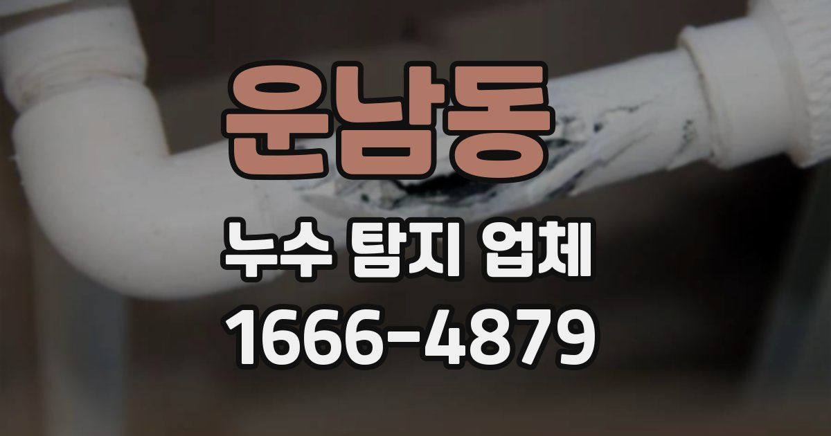 운남동 누수 탐지 업체