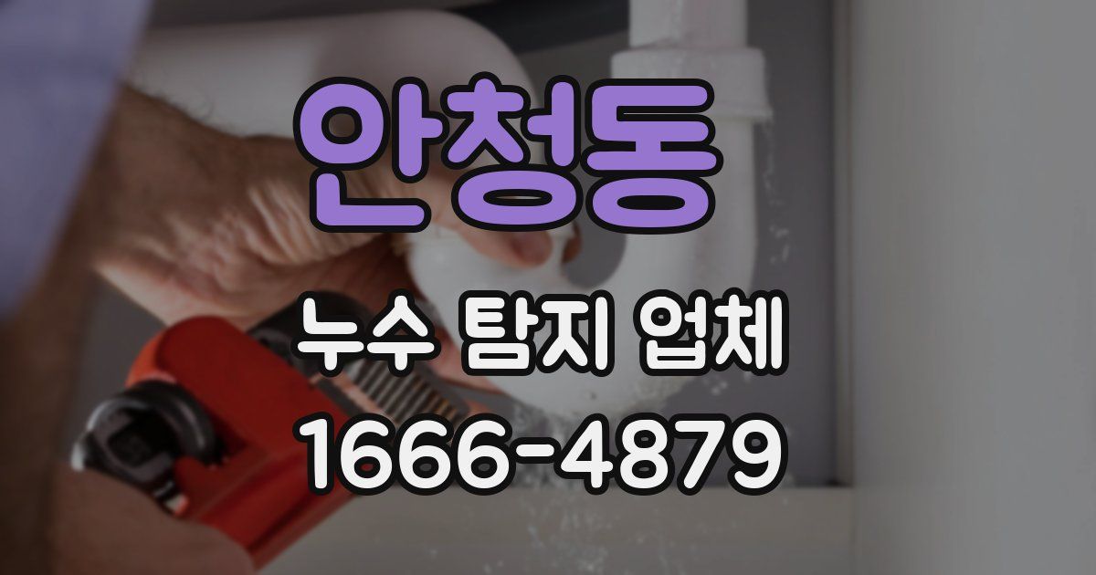 안청동 누수 탐지 업체