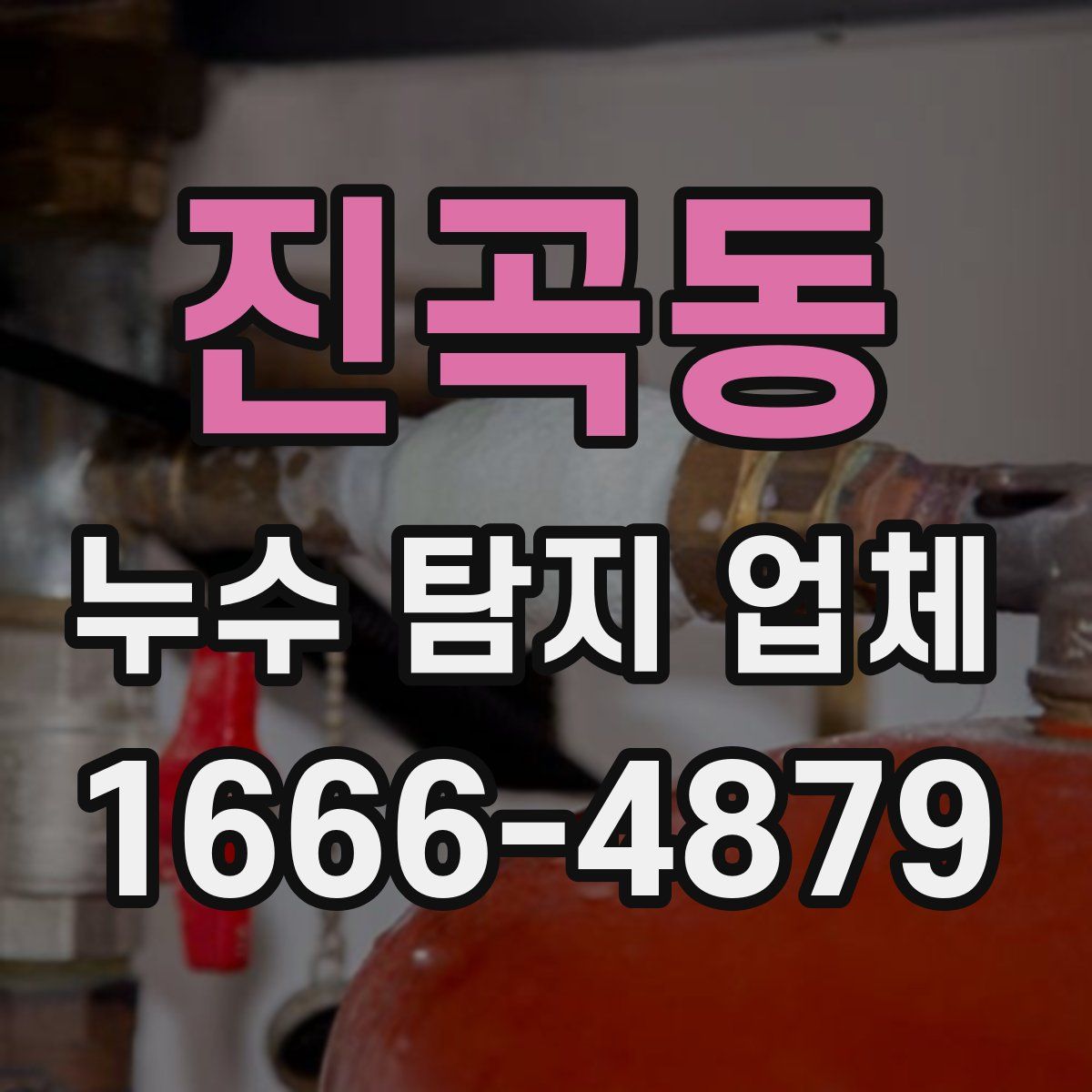 진곡동 누수 탐지 업체
