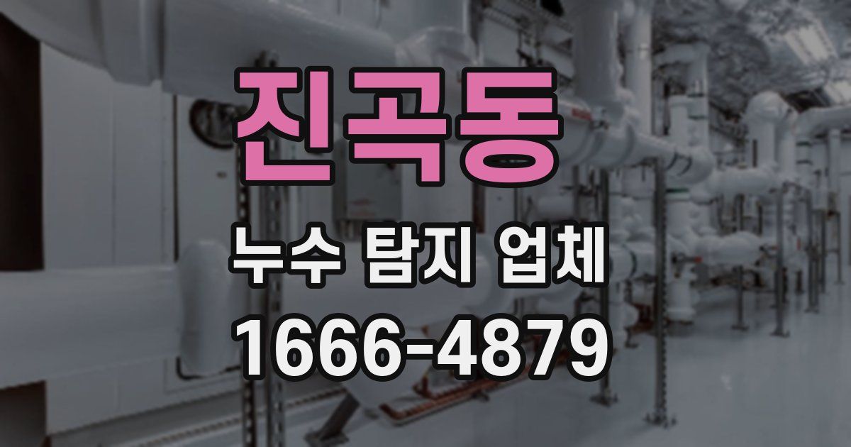진곡동 누수 탐지 업체