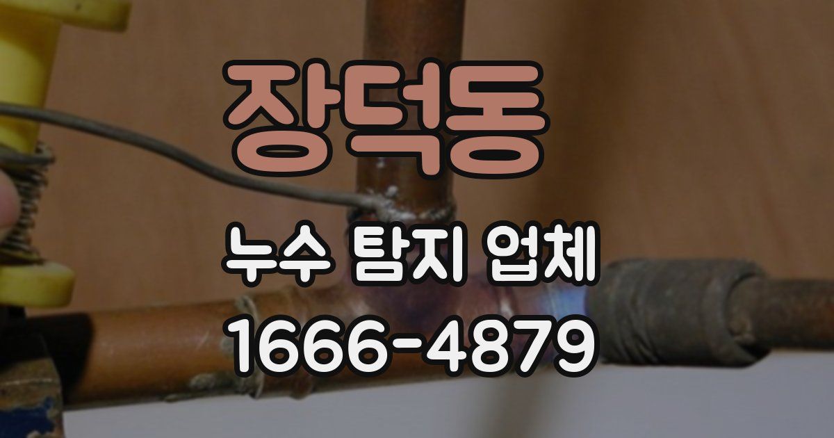 장덕동 누수 탐지 업체