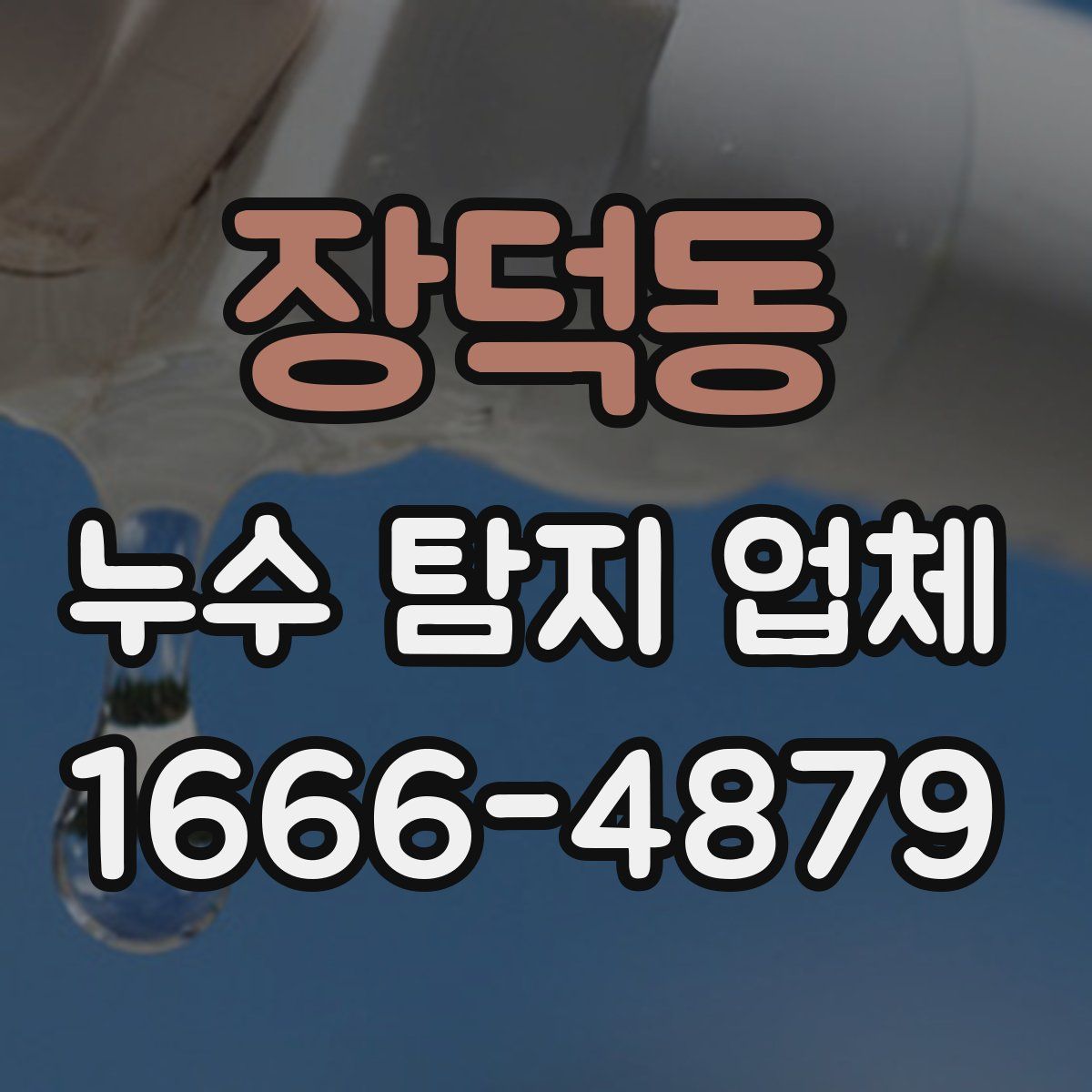 장덕동 누수 탐지 업체