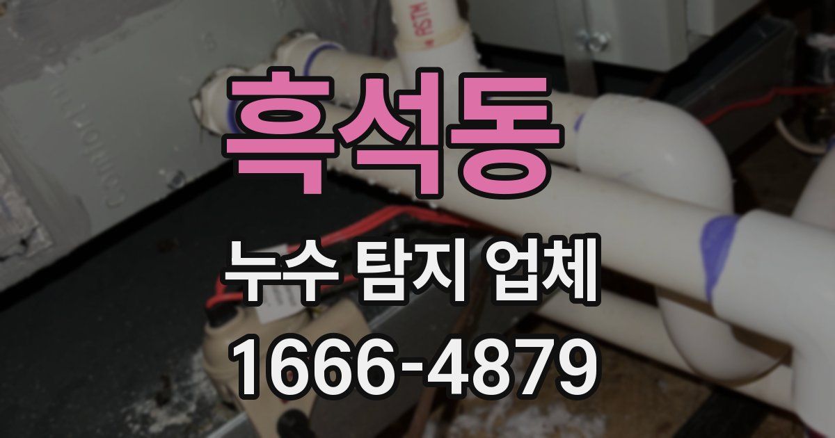 흑석동 누수 탐지 업체
