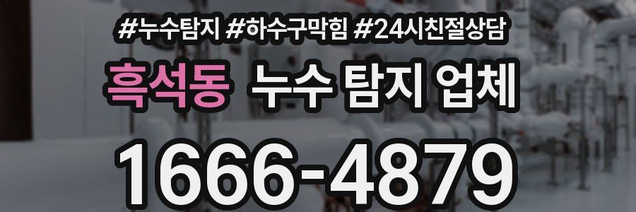 흑석동 누수 탐지 업체