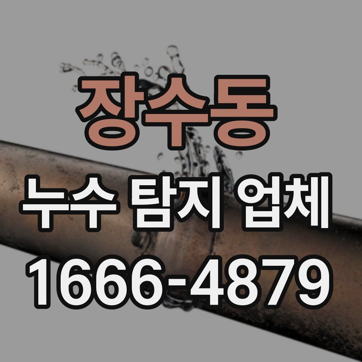 장수동 누수 탐지 업체