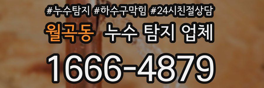 월곡동 누수 탐지 업체