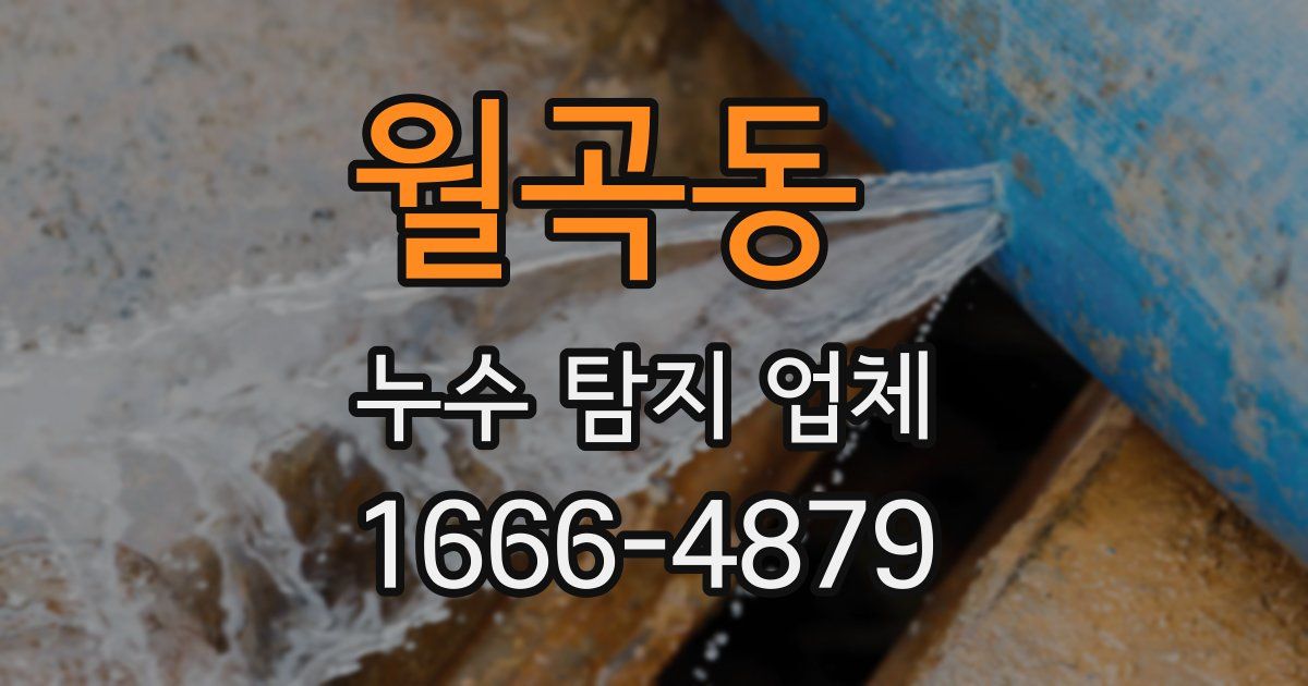 월곡동 누수 탐지 업체