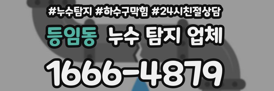 등임동 누수 탐지 업체