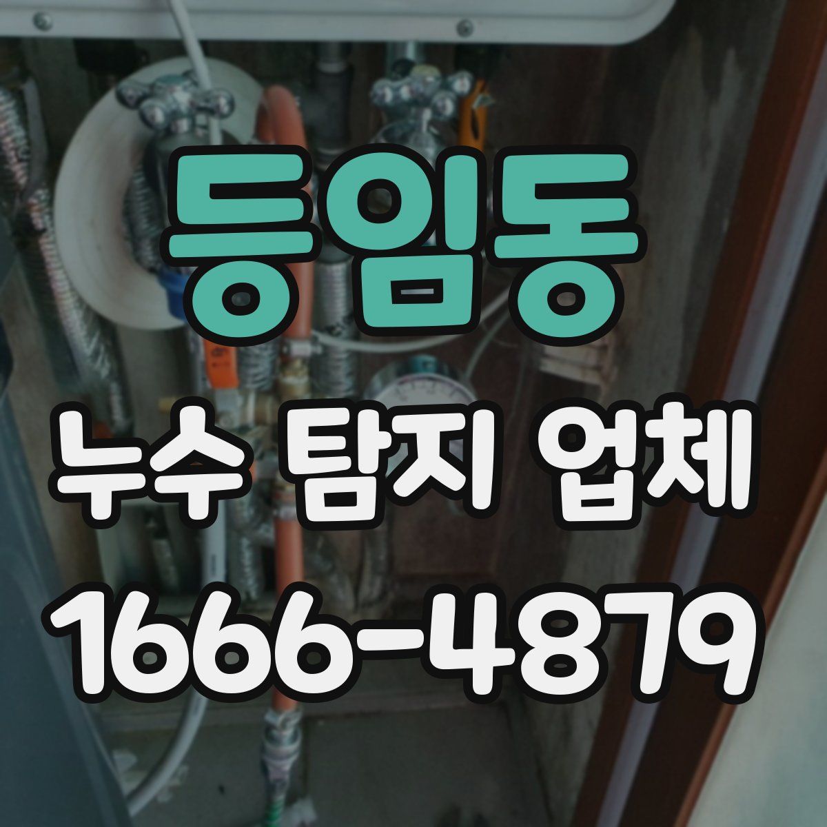 등임동 누수 탐지 업체