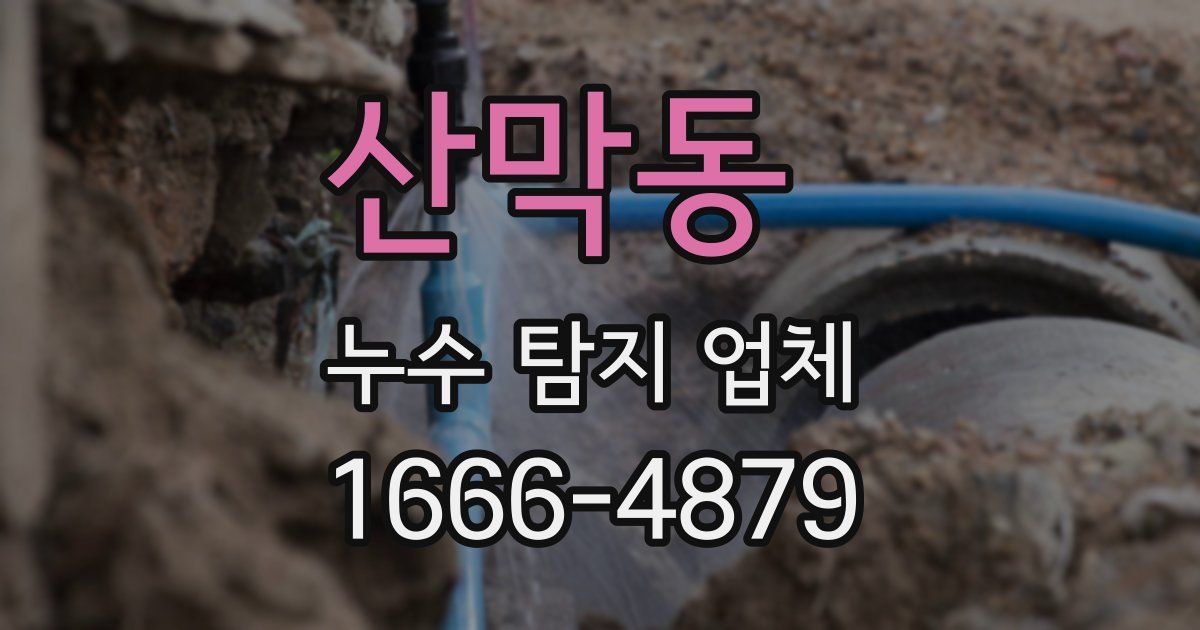 산막동 누수 탐지 업체