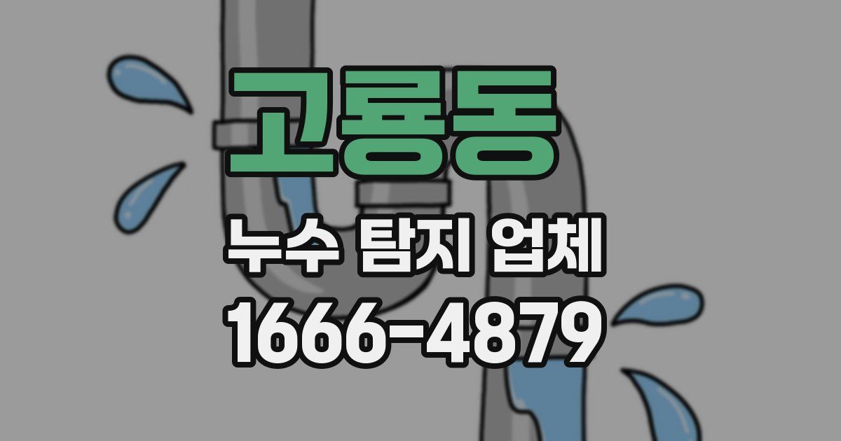 고룡동 누수 탐지 업체