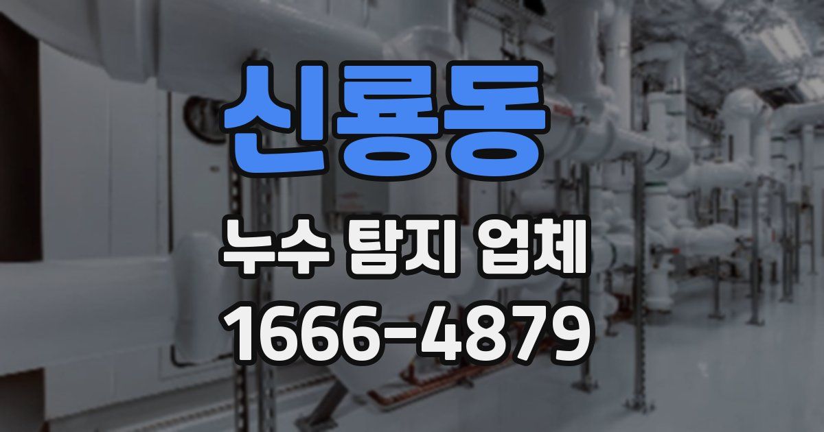 신룡동 누수 탐지 업체