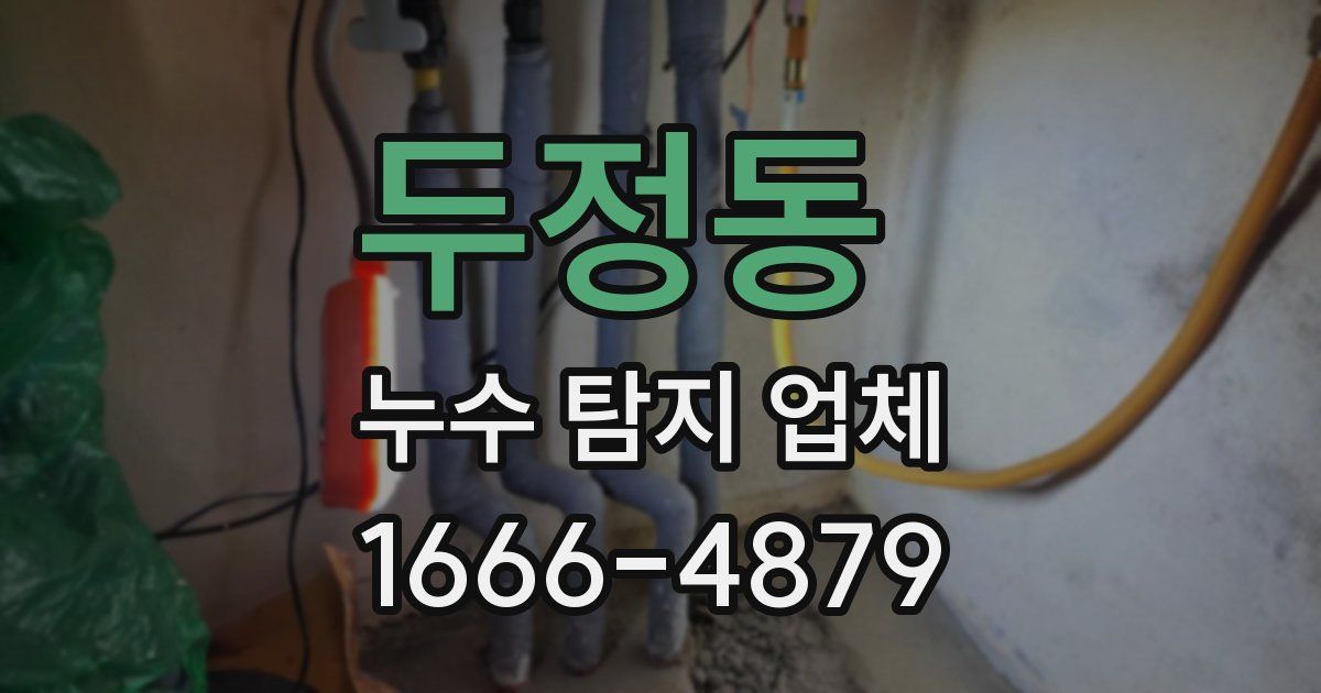 두정동 누수 탐지 업체