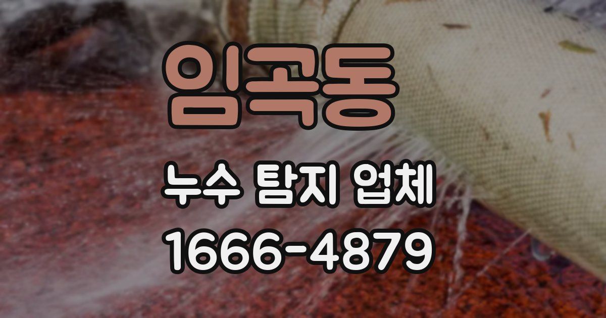 임곡동 누수 탐지 업체