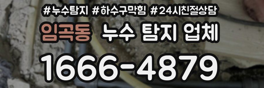 임곡동 누수 탐지 업체