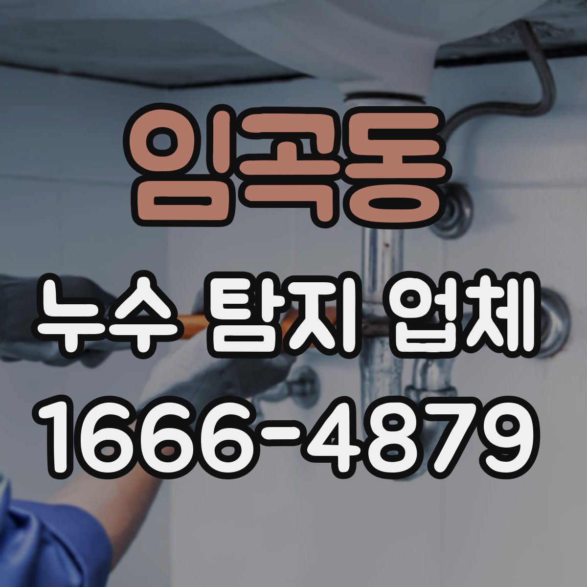임곡동 누수 탐지 업체