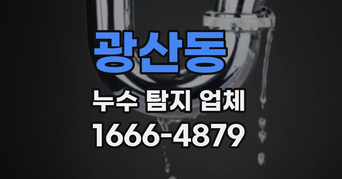 광산동 누수 탐지 업체