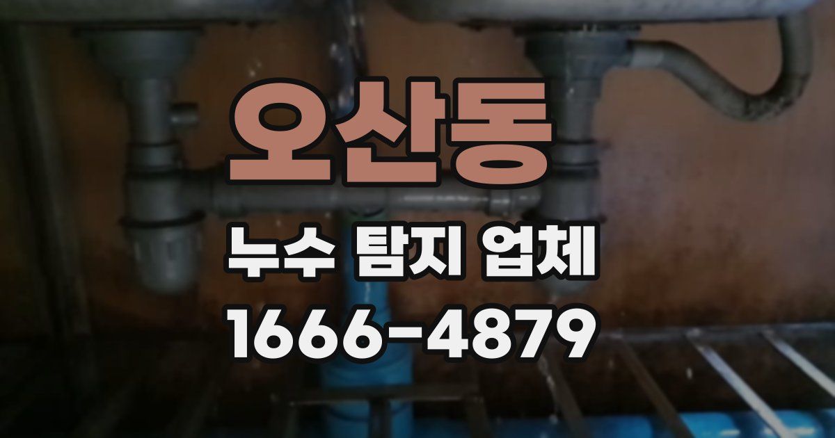 오산동 누수 탐지 업체