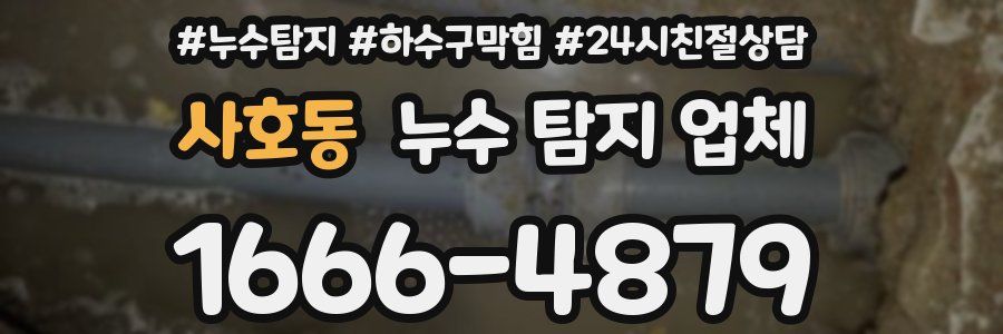 사호동 누수 탐지 업체