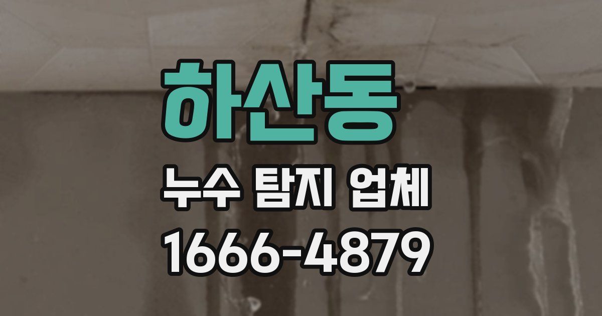 하산동 누수 탐지 업체