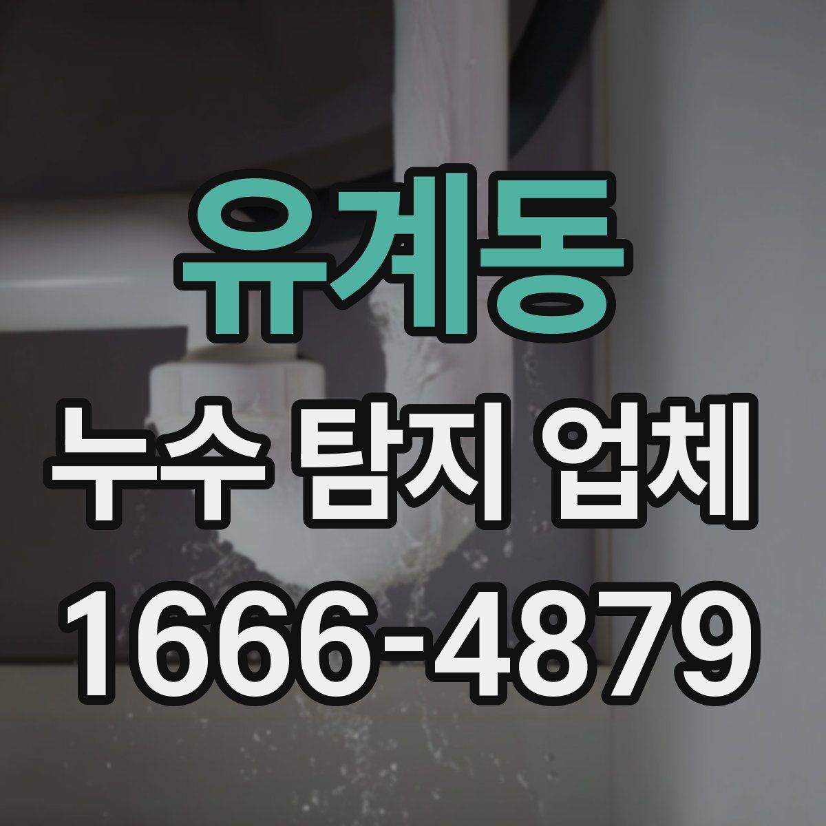 유계동 누수 탐지 업체