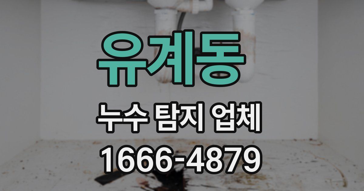 유계동 누수 탐지 업체