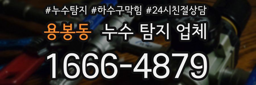 용봉동 누수 탐지 업체