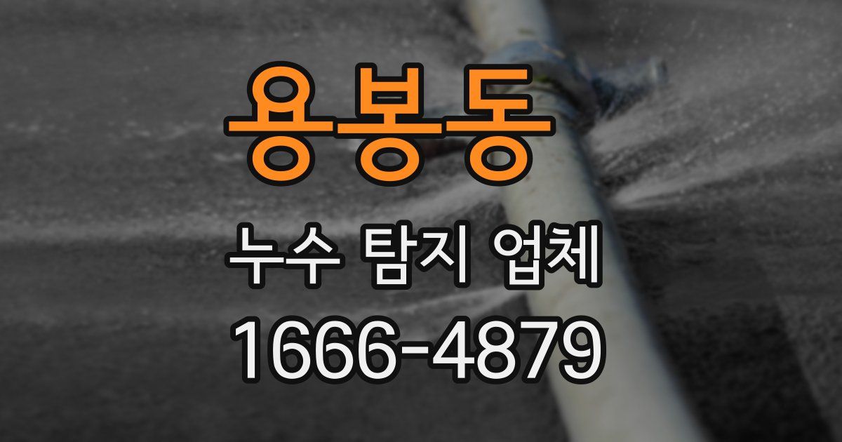 용봉동 누수 탐지 업체