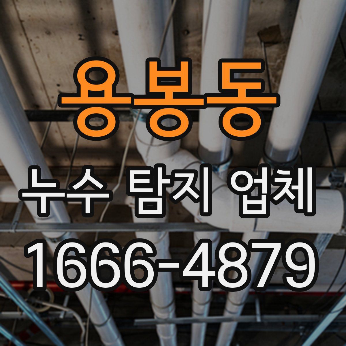 용봉동 누수 탐지 업체