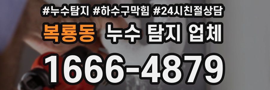 복룡동 누수 탐지 업체