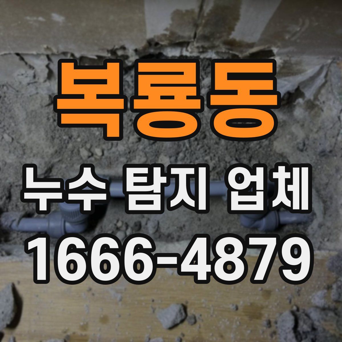 복룡동 누수 탐지 업체