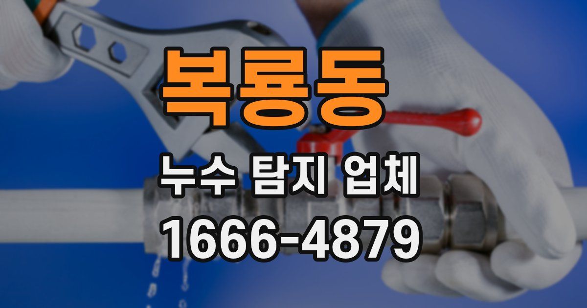 복룡동 누수 탐지 업체