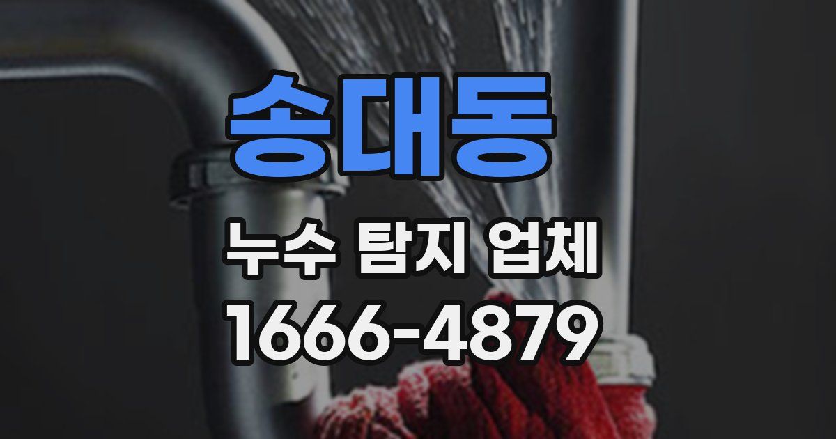 송대동 누수 탐지 업체
