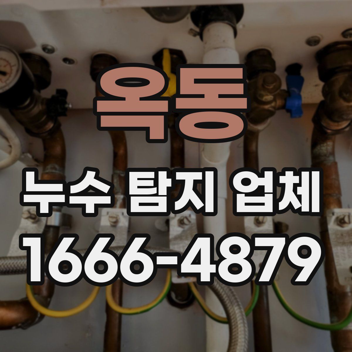 옥동 누수 탐지 업체