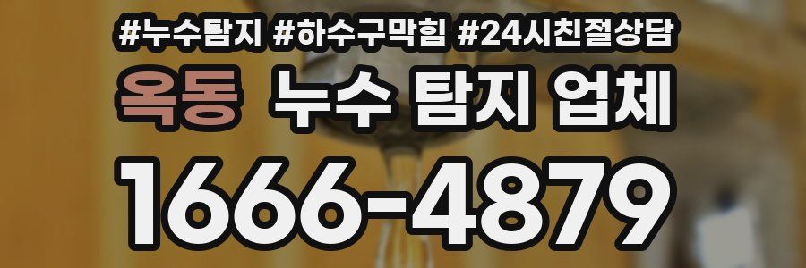 옥동 누수 탐지 업체