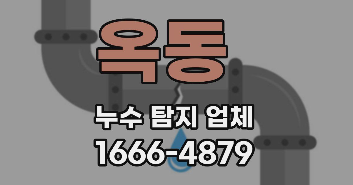 옥동 누수 탐지 업체