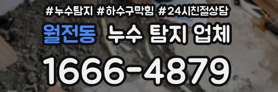월전동 누수 탐지 업체