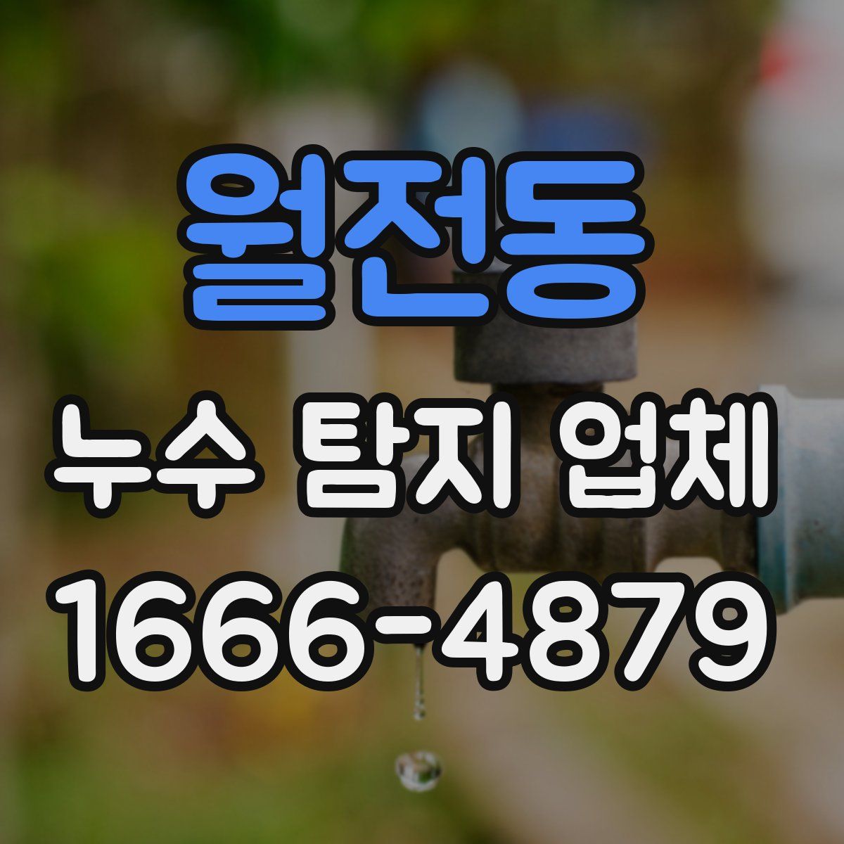 월전동 누수 탐지 업체