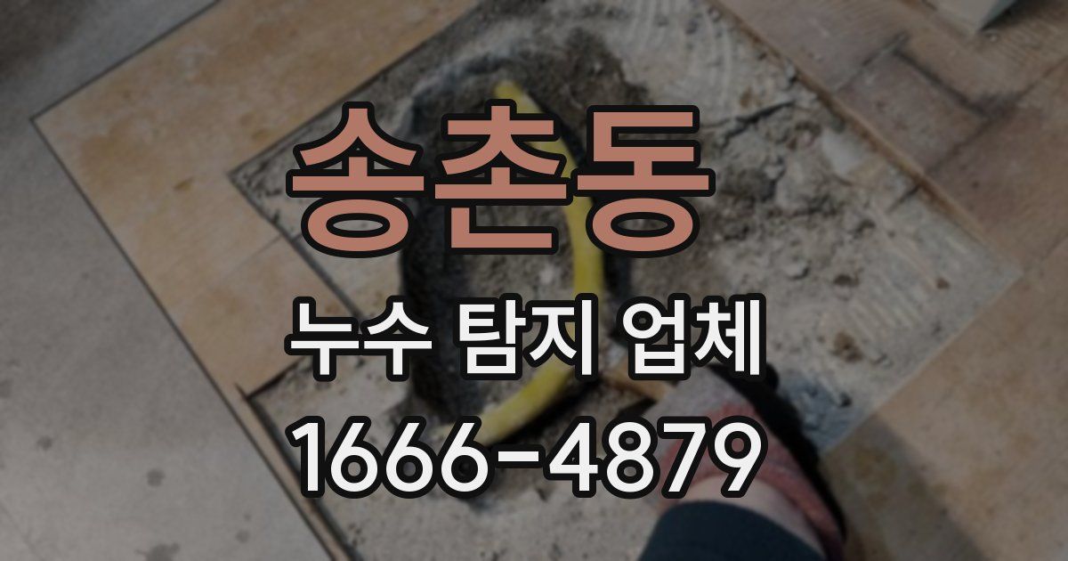 송촌동 누수 탐지 업체